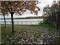 Corner of Clydeside Community Park