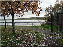 NS4870 : Corner of Clydeside Community Park by Jim Smillie