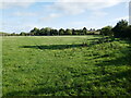 Grass field and footpath to Rectory Lane, Hempsted