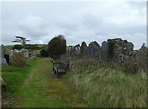 SC4991 : Kirk Maughold: churchyard (xv) by Basher Eyre
