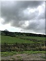 Farmland near Bancyfelin