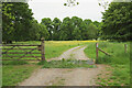 Stour Valley Way in Stourhead Park