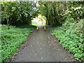 Path beside the main road near Lilleshall