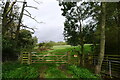 Footpath past Bush Wood