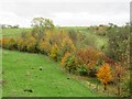 The valley of Hole Beck