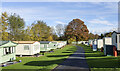 NZ1031 : Avenue of caravans leading to a tree by Trevor Littlewood
