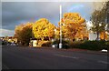 Autumn colours beside the A81