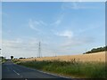 Pylon by B184 near Littlebury