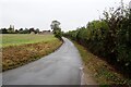 TL8436 : Old Road, Wickham St Paul by Geographer