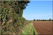 TL5054 : Field Boundary near Mag's Hill by Chris Heaton