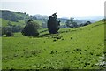 Farmland above Afon Iwrch