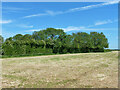 Harvested field near Ellinge House