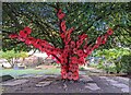 ST1876 : Poppy tree outside St John.s Cardiff by Roy Hughes