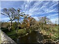 Llwyn Dwfr Bridge