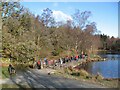 SD3299 : Visitors and walkers, Tarn Hows by Adrian Taylor