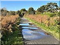 The Wirral Way in autumn