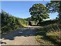 The road near Carne