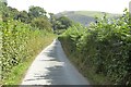 Country road in the Pennant valley