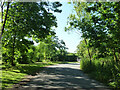 Road by Grays Farm