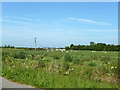 Sheep grazing, Marshside