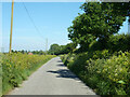 Chitty Lane, Chislet