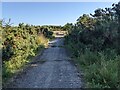 A concrete lane at Templeton disused airfield