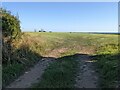 A field entrance near Templeton