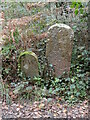 ST4564 : Old Boundary Markers in King's Wood, Congresbury by Roadside Relics