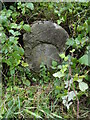 Old Milestone by B4066, Dursley Road