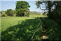 Footpath towards Ridge Fold