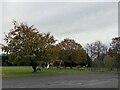 Playing field, Clunderwen