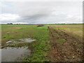 Farm track separating cultivated land at Ravelaw