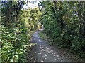 The bridleway near Fiddlers Green