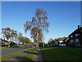 Arnold Road near Bestwood