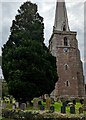 SO3438 : Churchyard yew, Peterchurch, Herefordshire by Jaggery