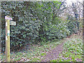 TM4189 : Footpath along Hangman's Lane by Adrian S Pye