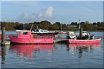 SU4806 : Hamble Ferry pontoon by David Martin