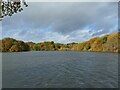 SJ8955 : A full reservoir at Knypersley Pool by Stephen Craven