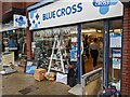 SO9670 : Blue Cross shop Christmas display by Roy Hughes