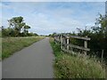 TL4166 : Bridge over Beck Brook for NCN51 and busway by David Smith