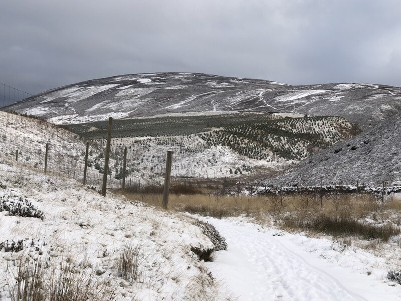 View towards Black Hill © Richard Webb :: Geograph Britain and Ireland