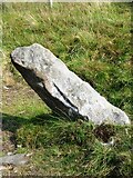 NY8907 : Old Boundary Marker south of White Stone Gill by Colin Smith