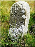 NY8907 : Old Boundary Marker east of Long Causeway by Colin Smith