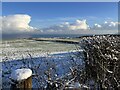 NT7572 : Snowy Landscape at Birnieknowes by Jennifer Petrie