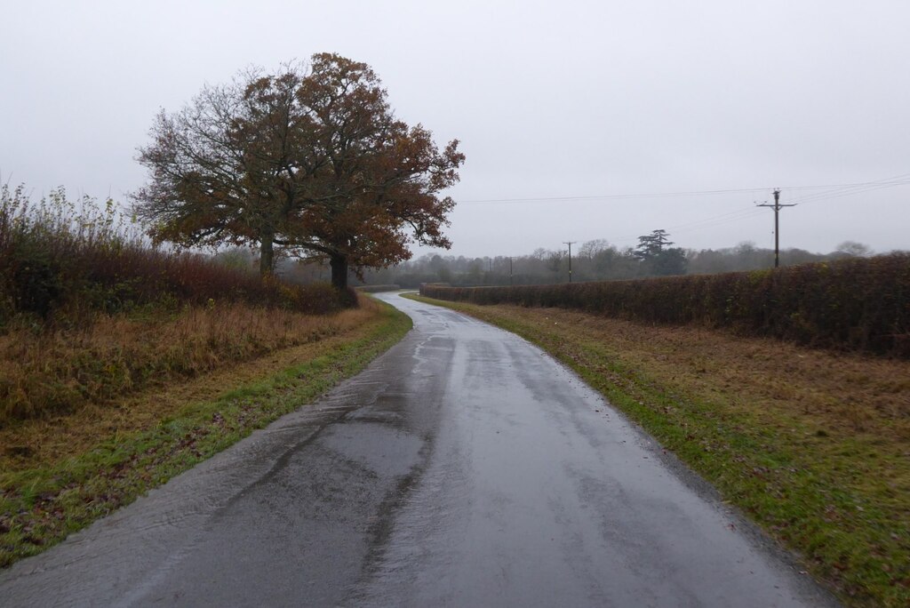 country-road-at-piper-s-end-philip-halling-geograph-britain-and