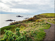 SW7011 : Coastal Path by John Lucas