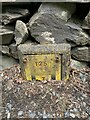 SH7258 : Hydrant marker on the A5, Capel Curig by Meirion
