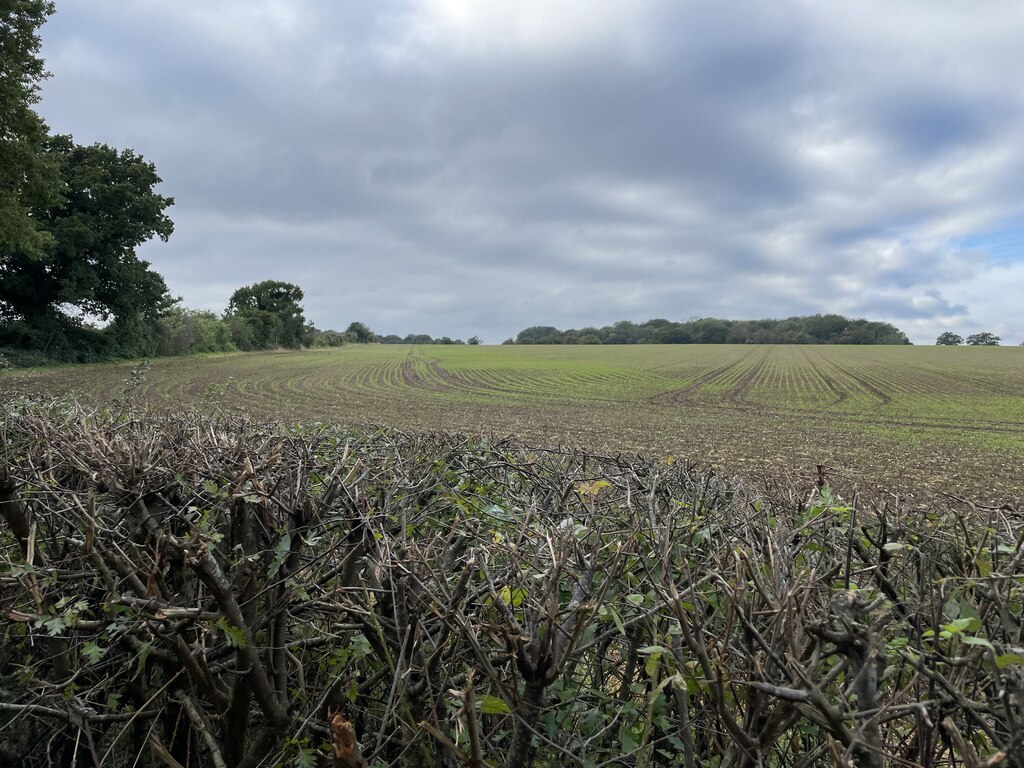 view-across-forty-acres-field-40-5-mr-ignavy-geograph-britain