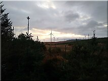 NX2575 : Conifers and turbines by Aleks Scholz