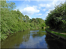 SO8687 : Canal near Ashwood in Staffordshire by Roger  D Kidd